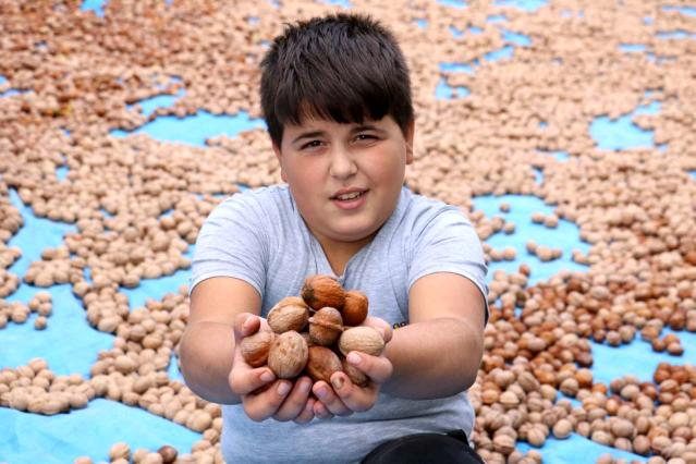  10 bin ton tescilli ceviz ihracatı